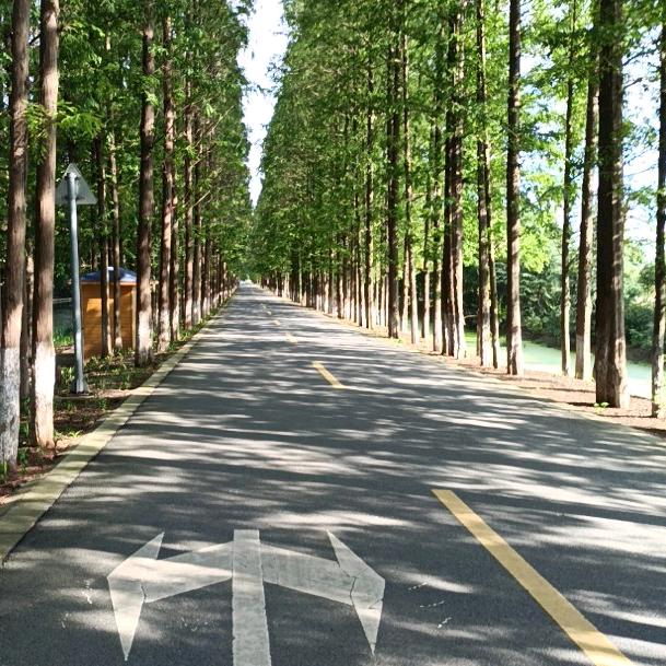 平凡人生