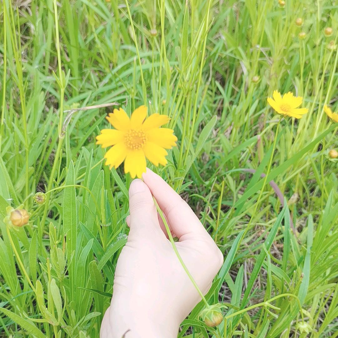 a鑫欣