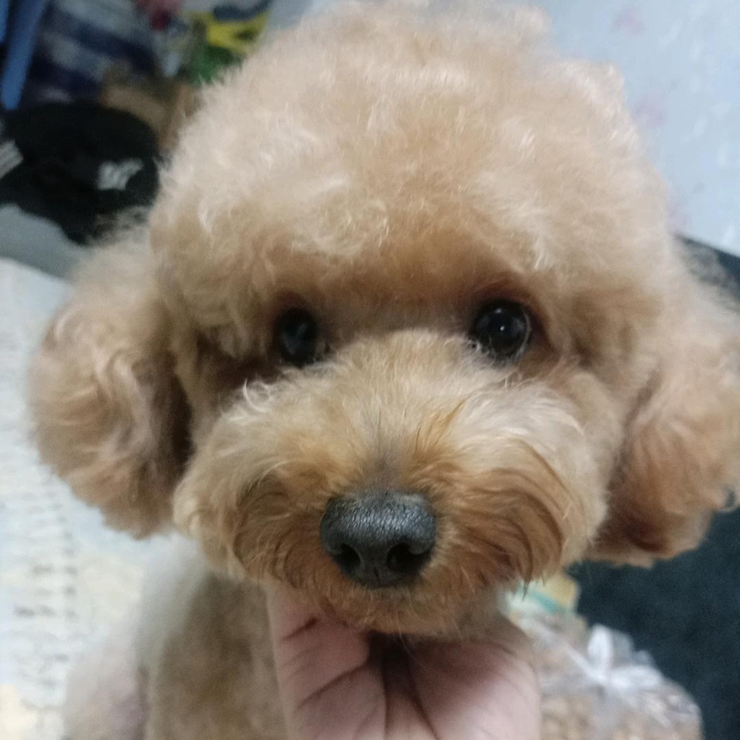 丽姐