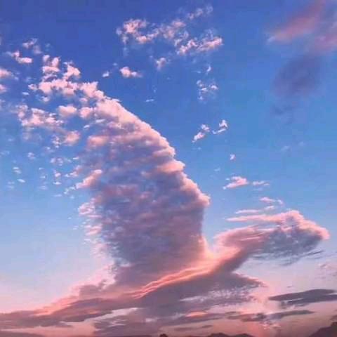 湾湾湾花园