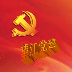 望江党建