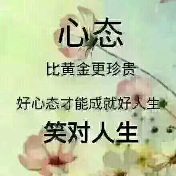 一只幸福的猪🥰