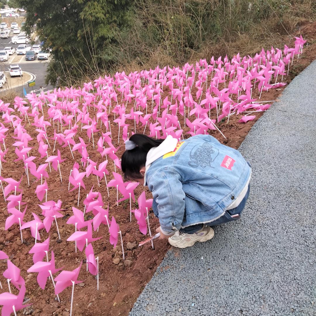 愉研