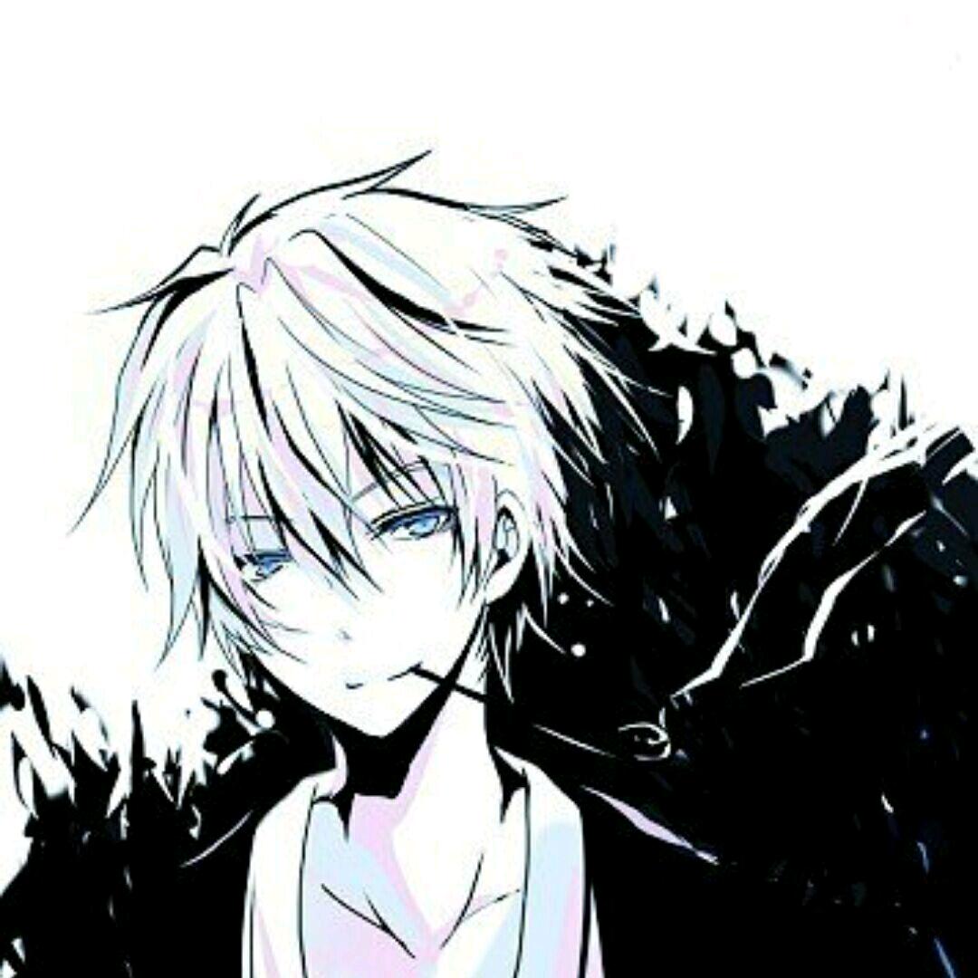 冰箱里的鱼戴着拖鞋跳探戈