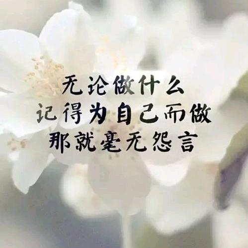 赤子心（👀勿忘国耻🧠）