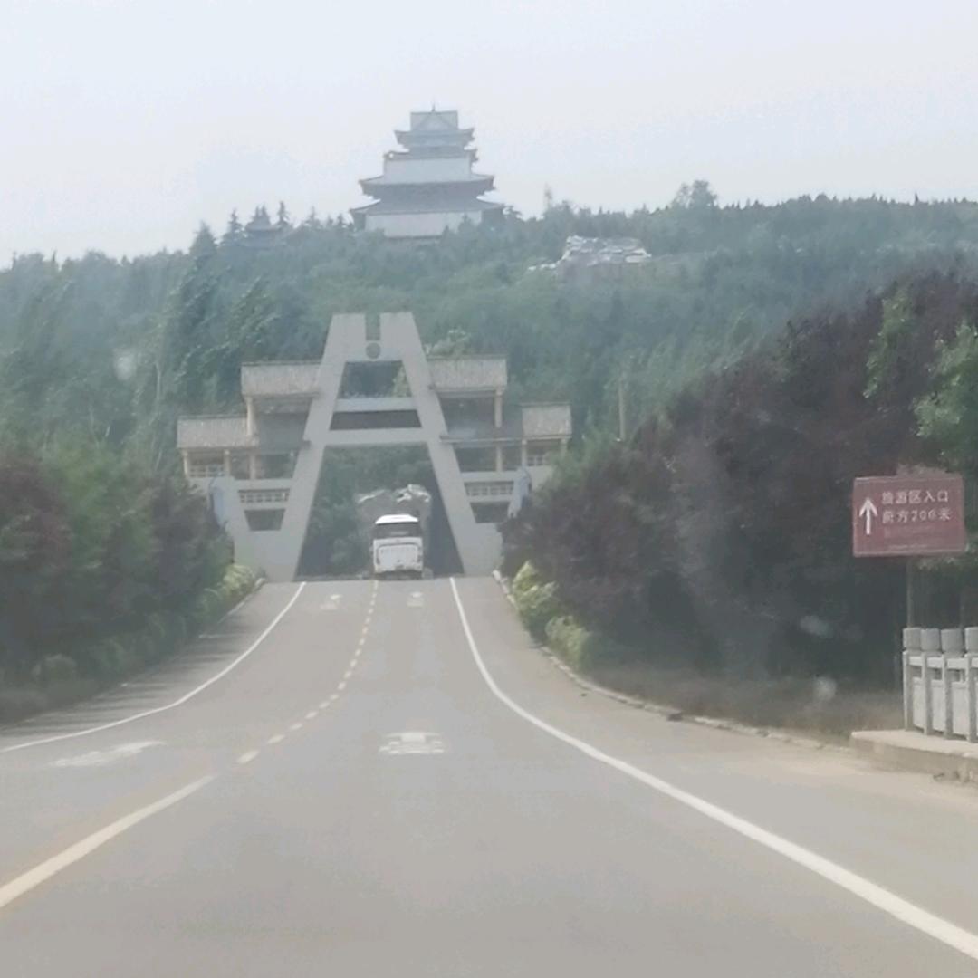 自强不息🐖🐖🐖