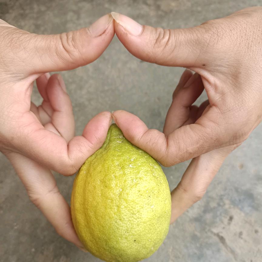 情深缘浅弄悲伤