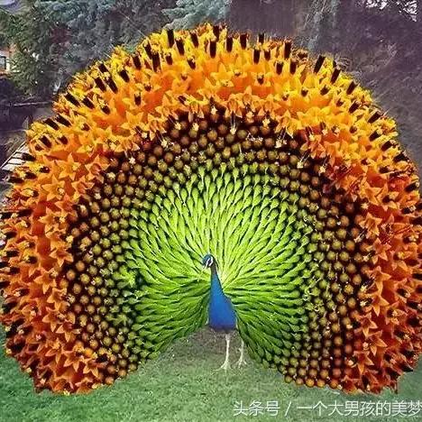 笑在一生