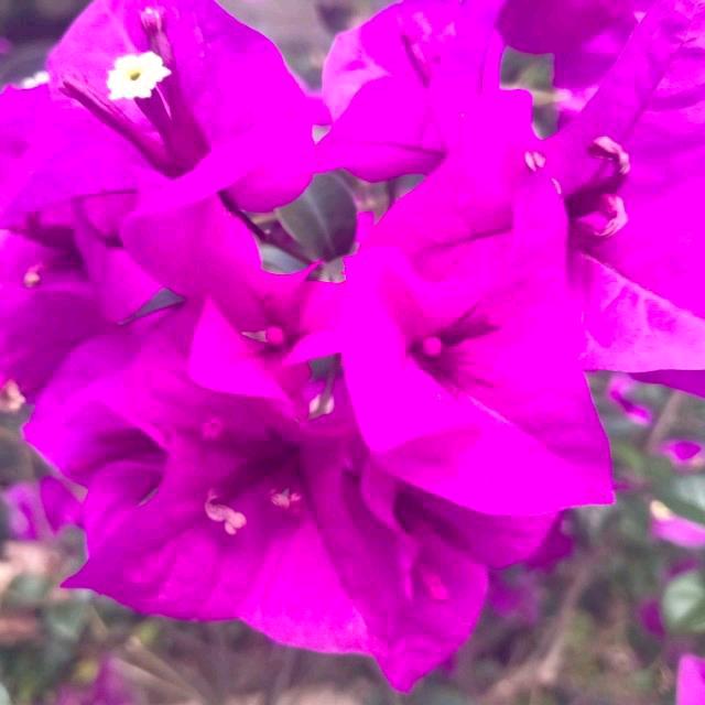 乐哥达人好物穿搭日用百货影视