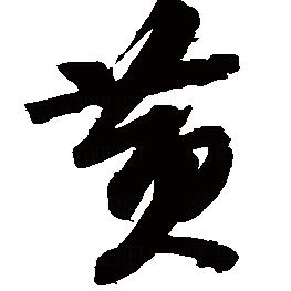 黄大胖（全国重点扶贫对象没有低保）