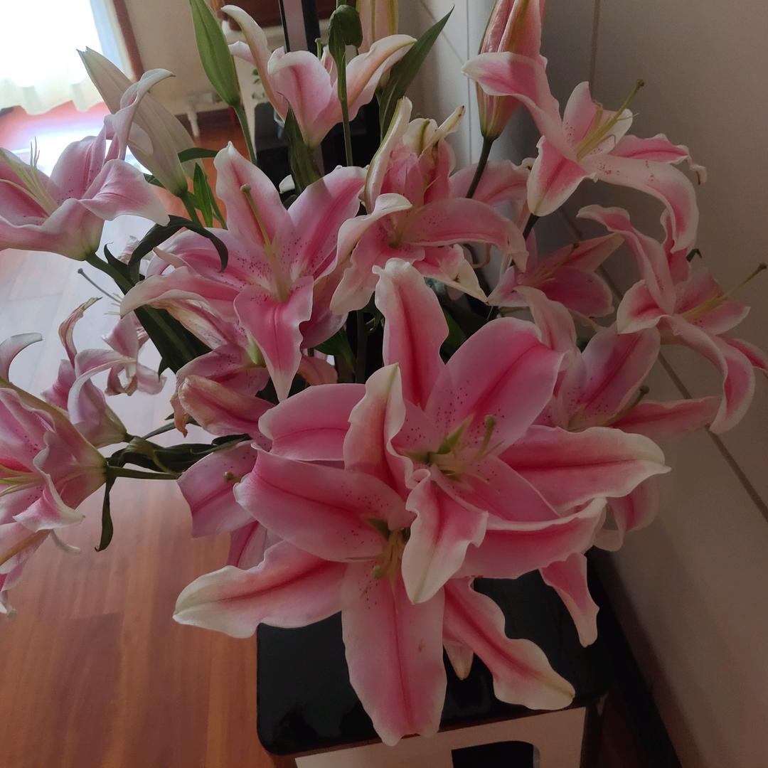 一路阳光《拒私聊》