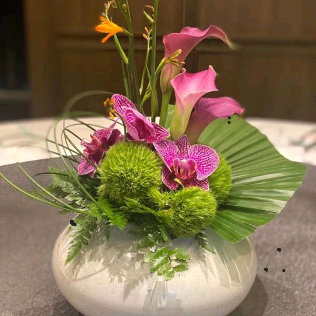 青荇&