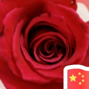 心聪