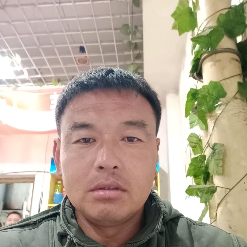自由自在