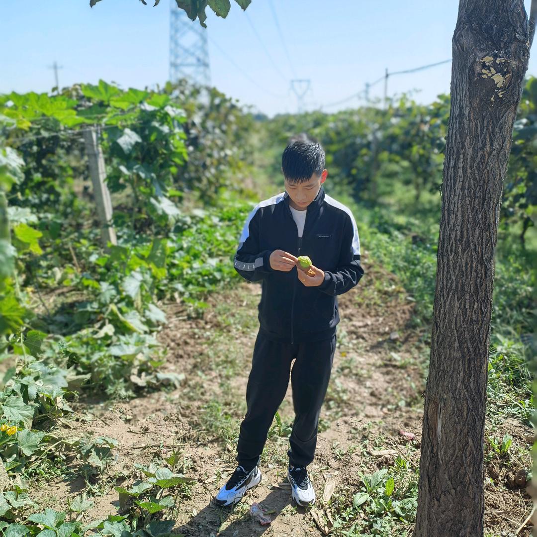 退伍军人生鲜（万里长征寻觅优质水果源头）