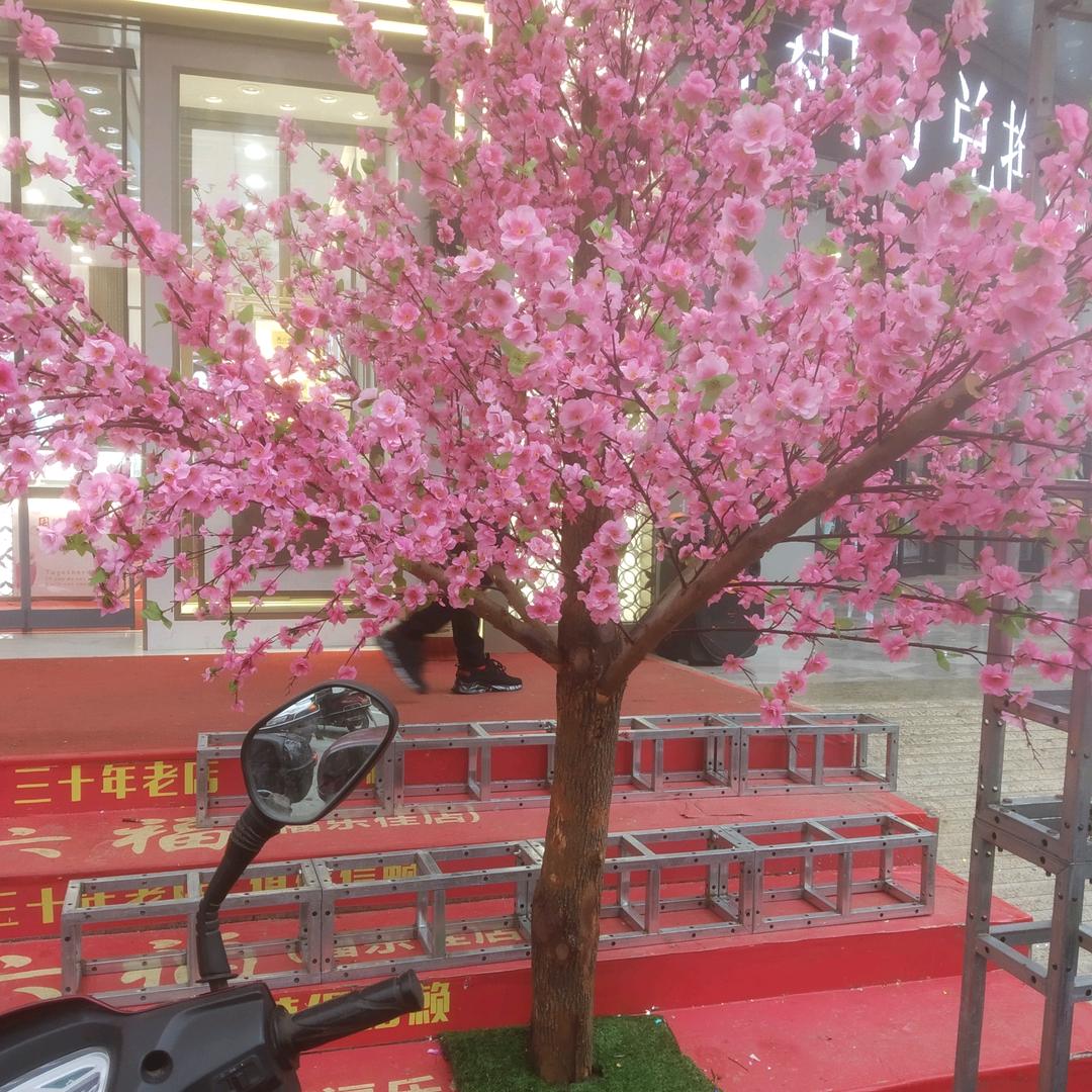 彬彬有礼