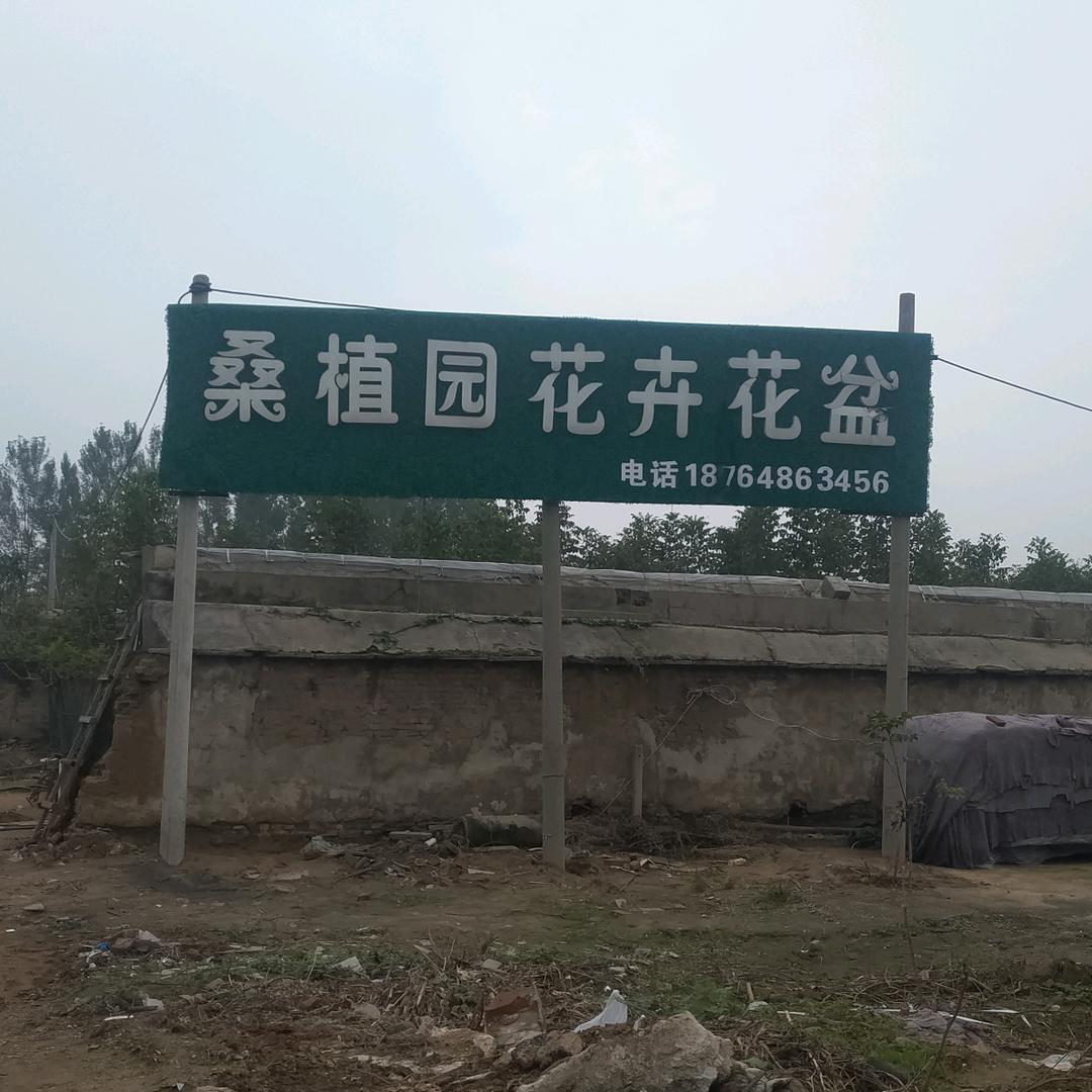 东平县桑植园花卉花盆批发