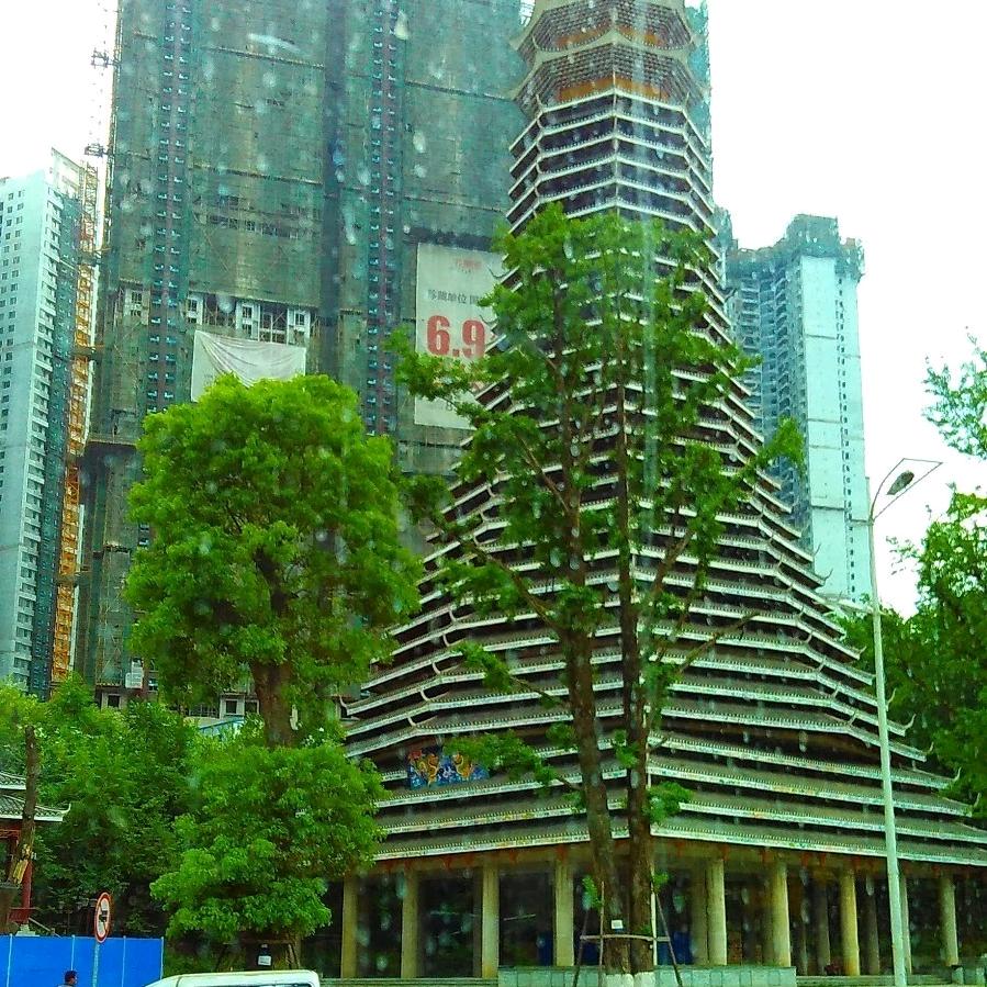 伊梦相思豆