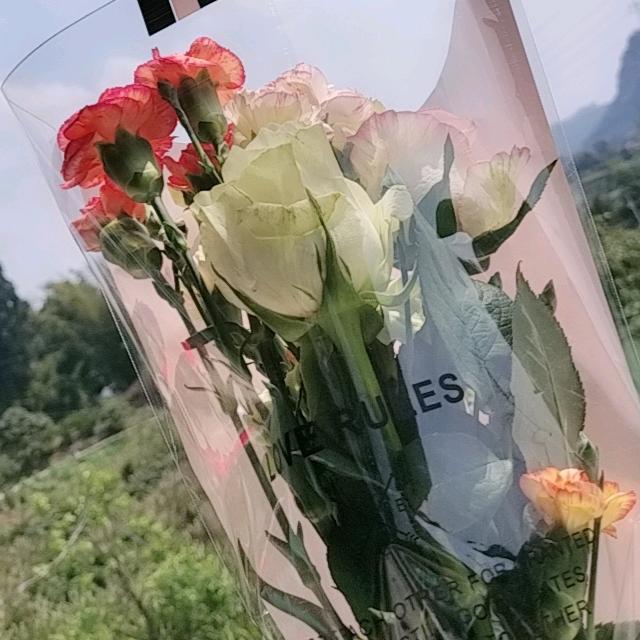 🎼💦💦坚定信念🦋