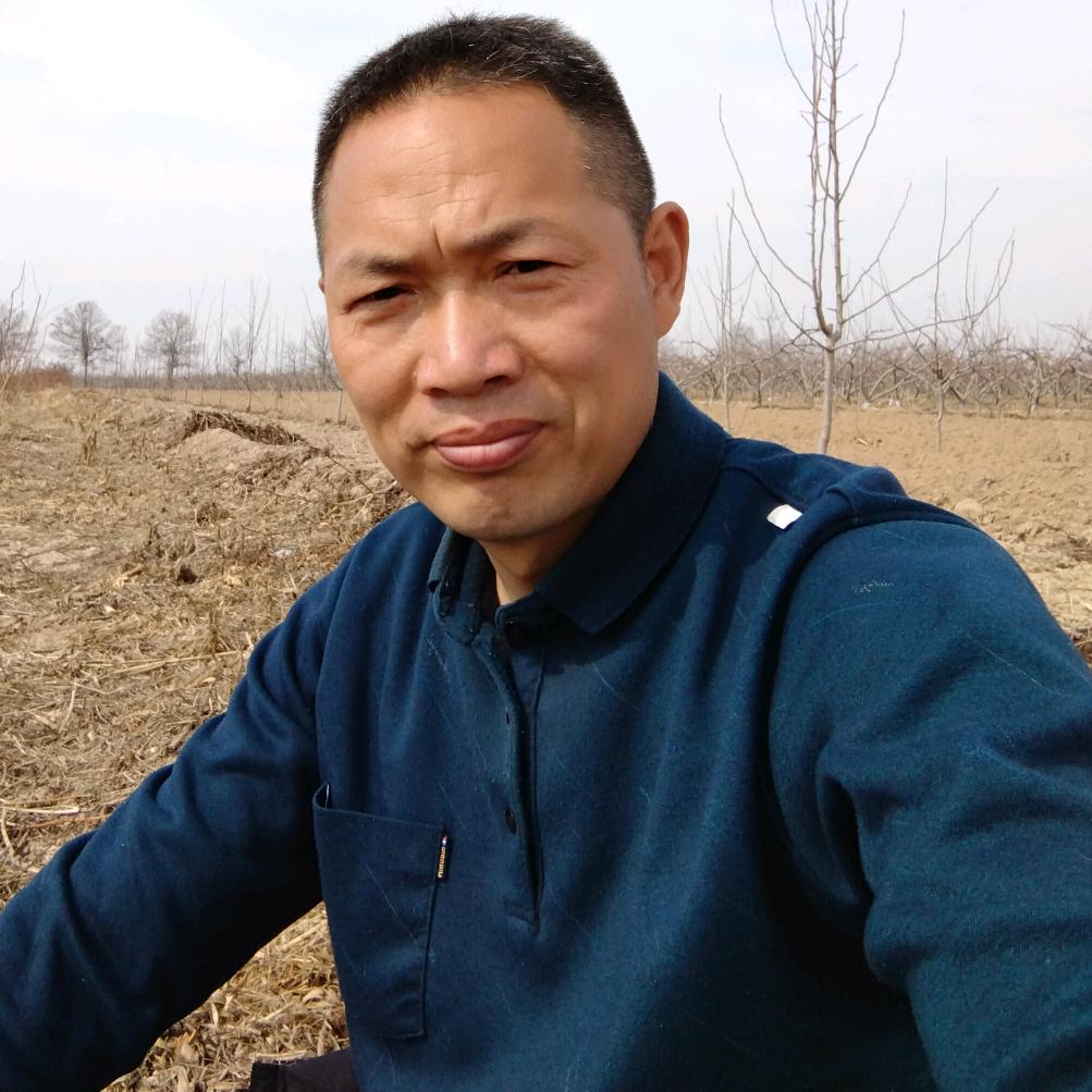 苹果卫（橱窗好物分享）