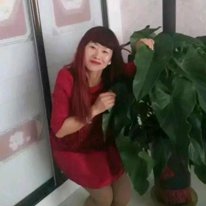 鸟语花香