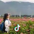 吾鑫飞扬