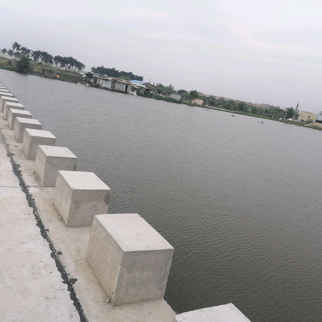 冯三哥