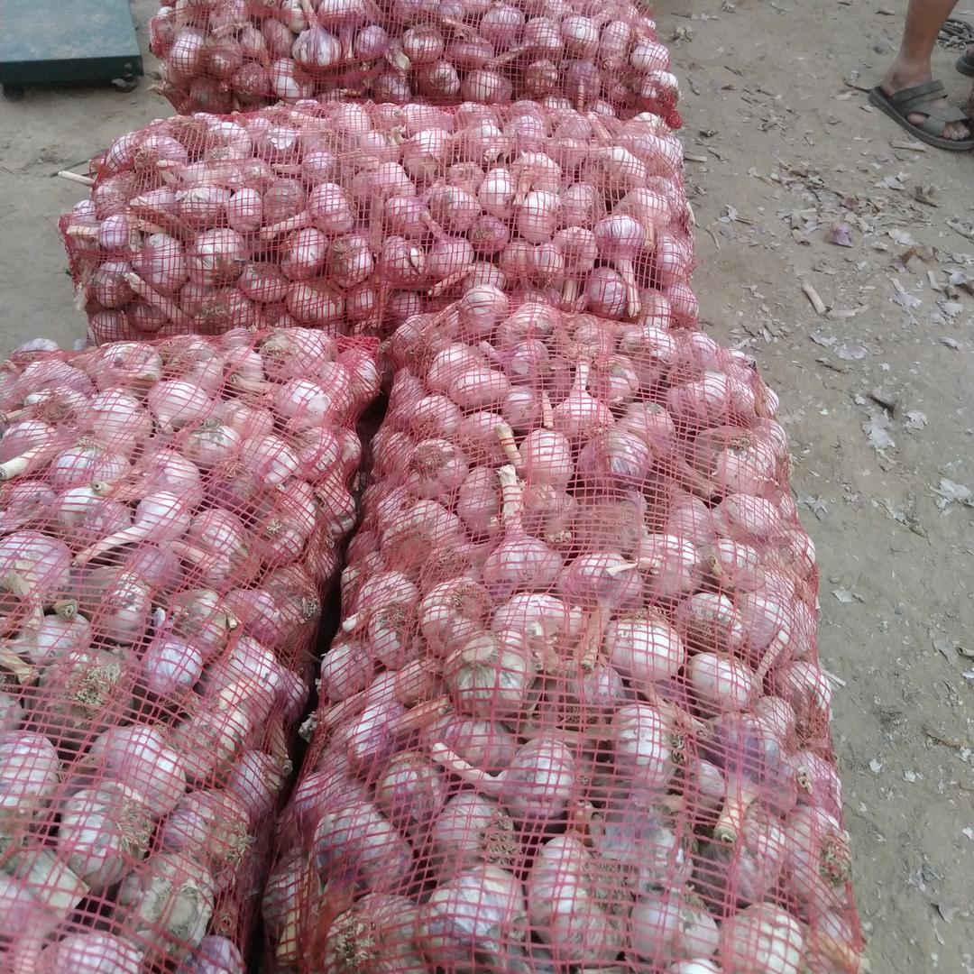 成年人的世界没有容易二字