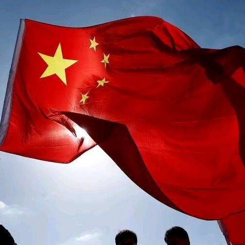 上海,陆渡教练