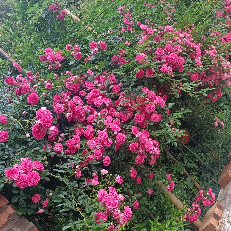 雨过天晴