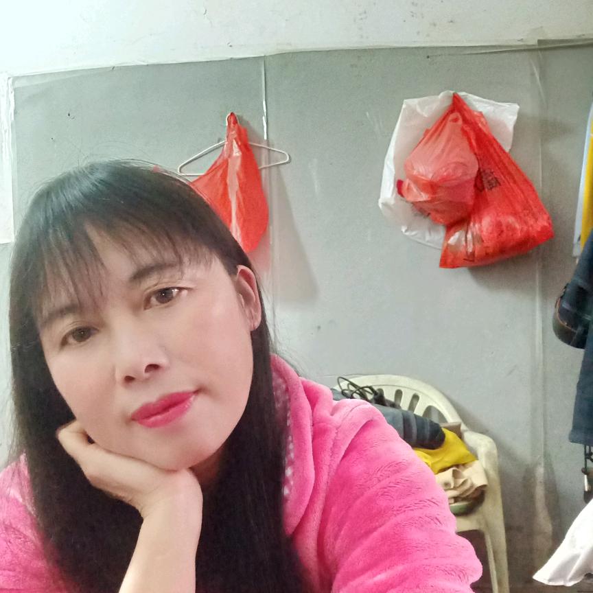 快乐的鱼儿