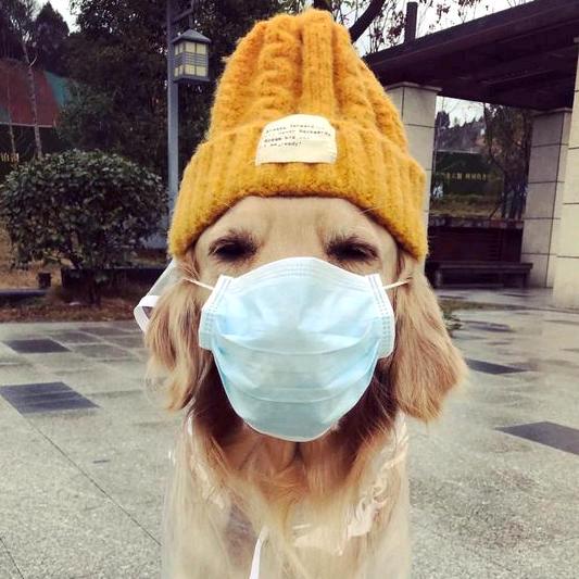 枭龙