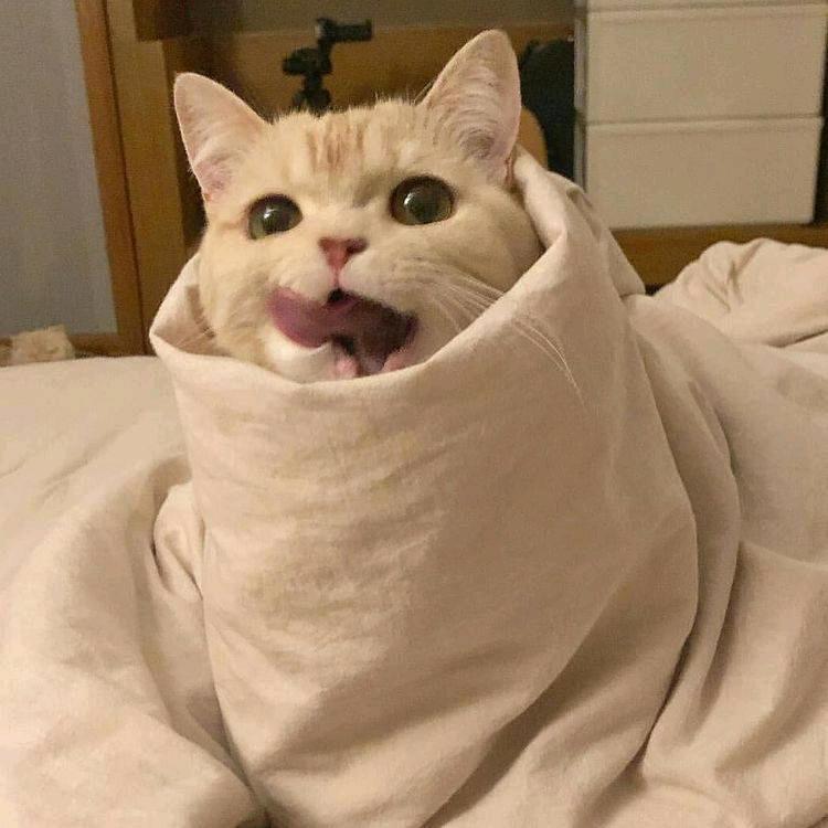半卷卷山