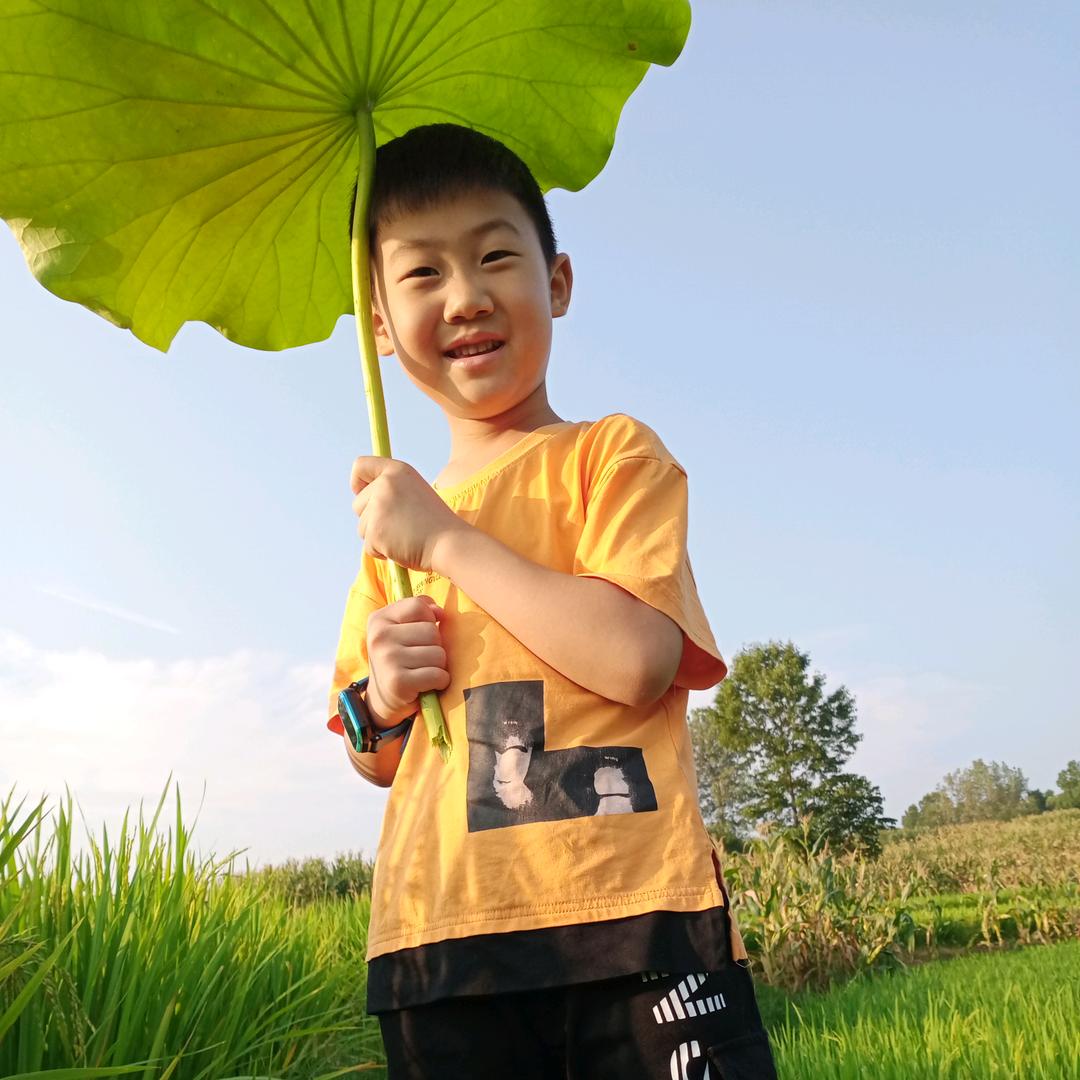 菊姐