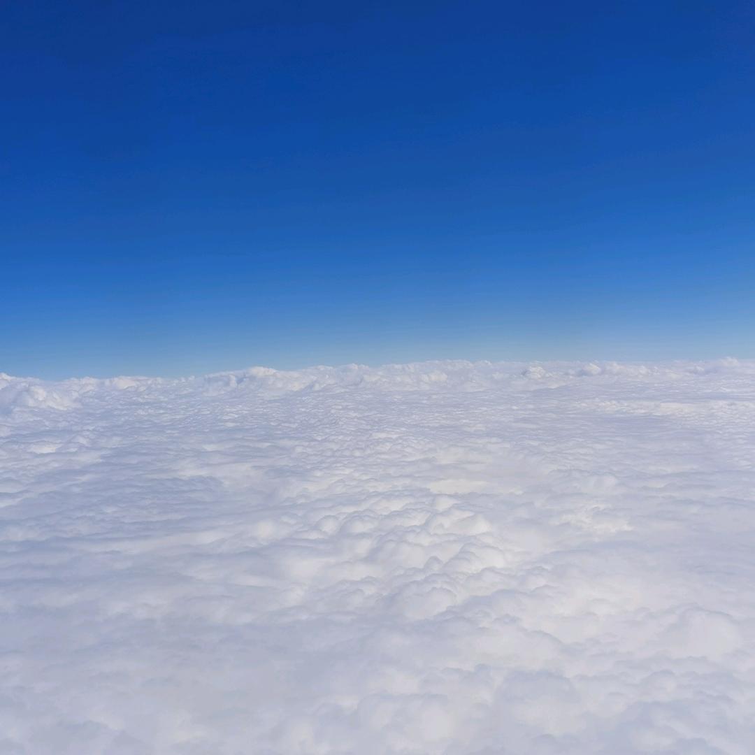 风华雪月