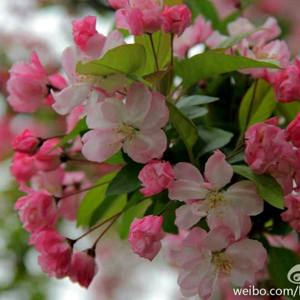 税