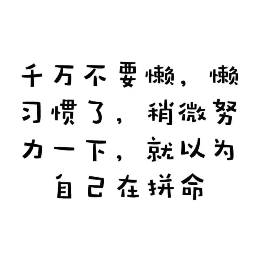 好白菜