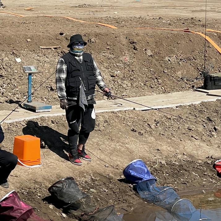巡山社……小飞虫