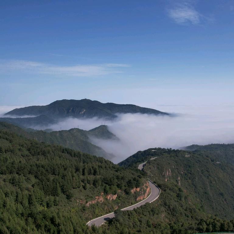 炒肉片的☪苦力男🎣✈️