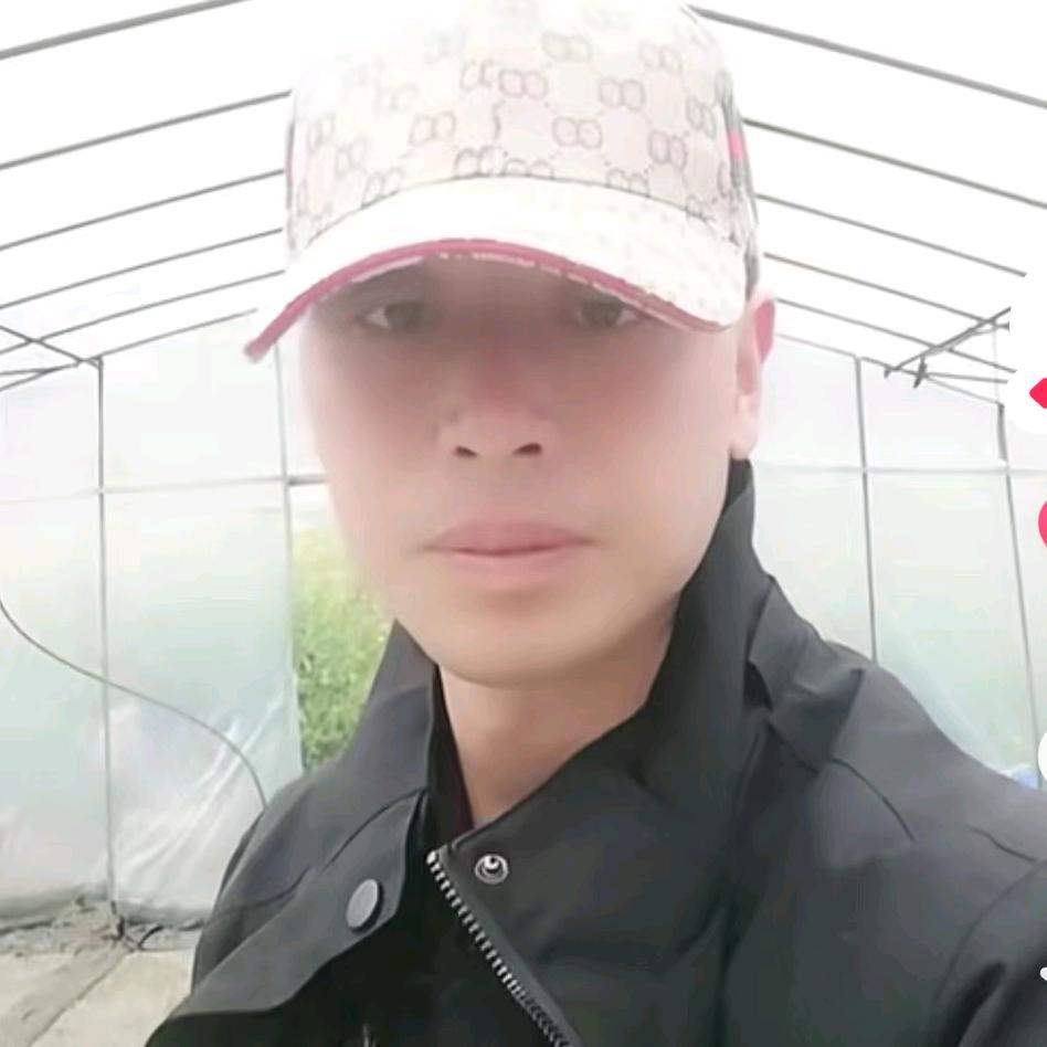百亩烟叶《海平》