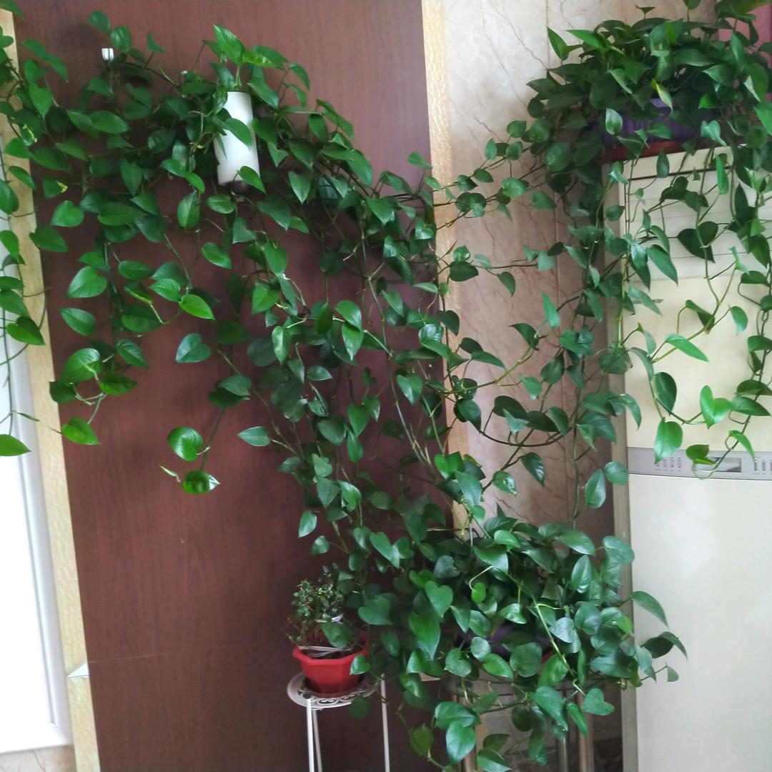 纪茗淇
