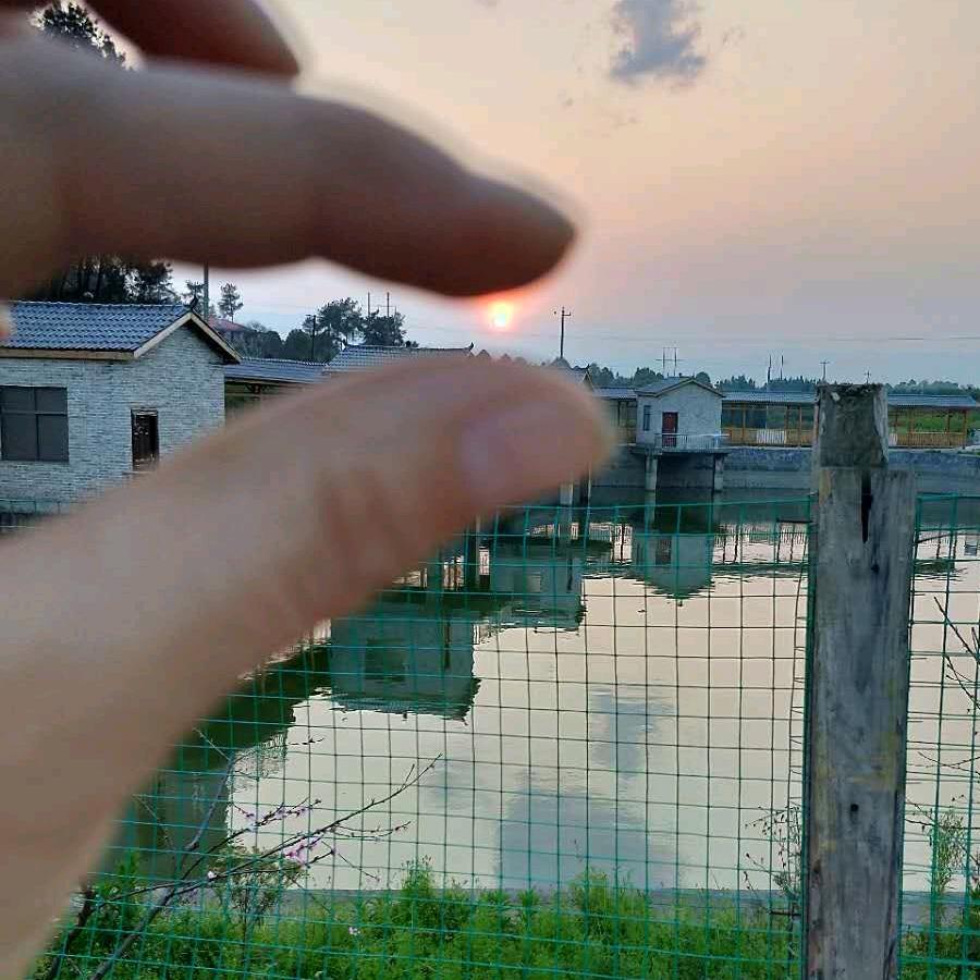 栀子花开