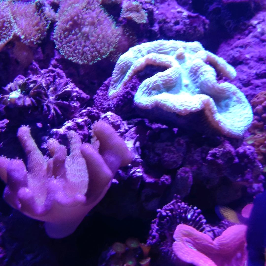 明天会更好👍👍👍