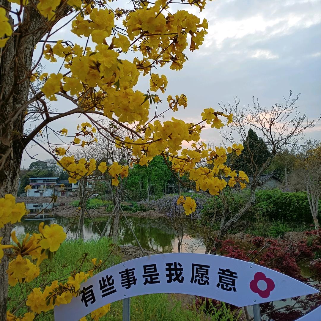 蓝天2022