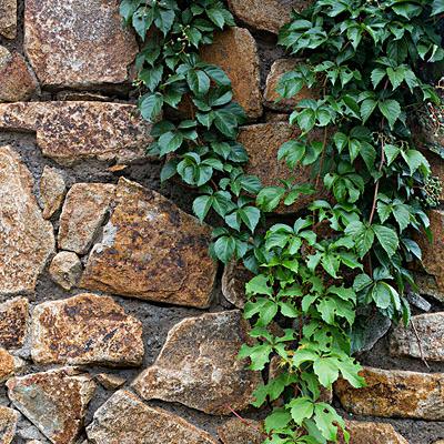 好运自然来…又系美好的一天