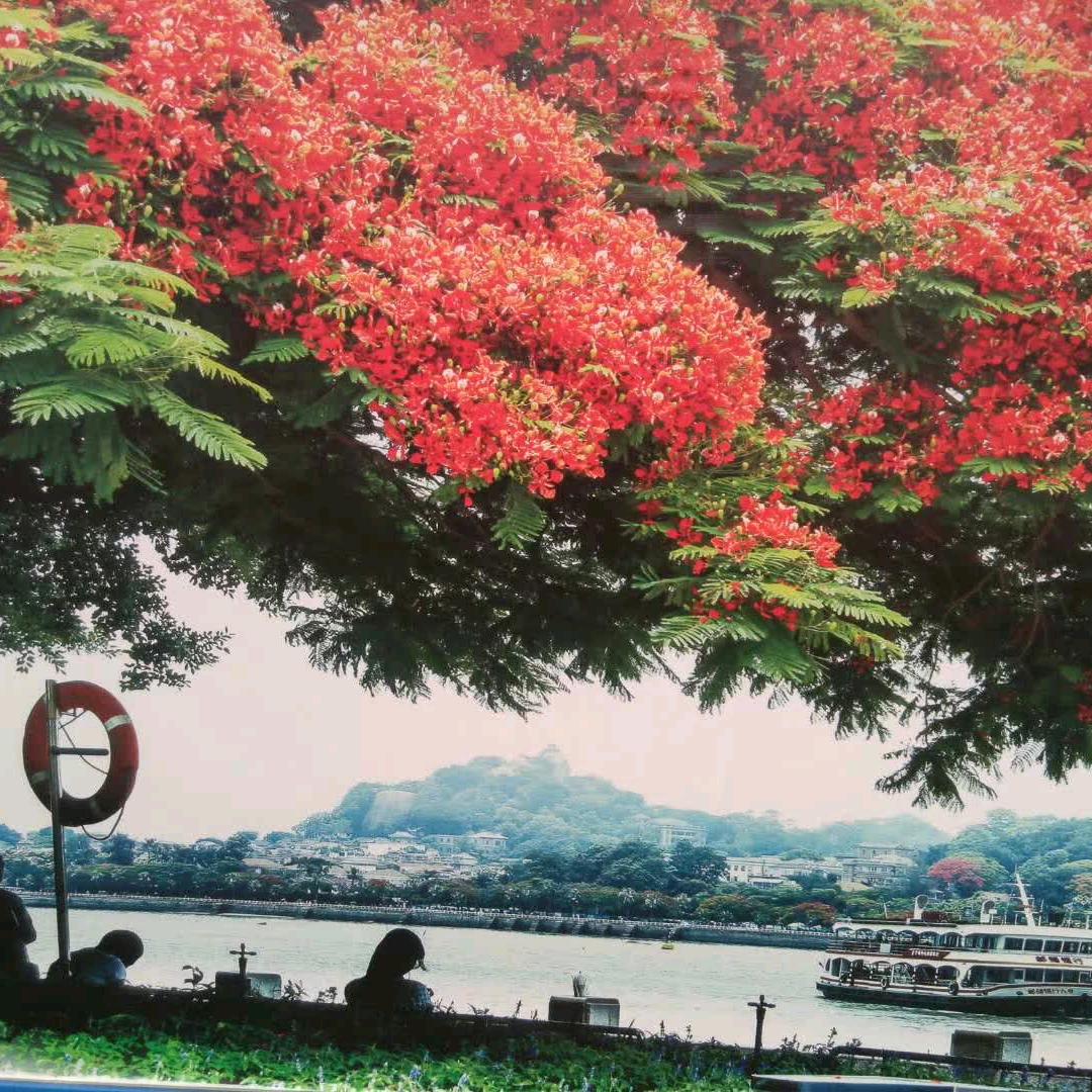 日月新