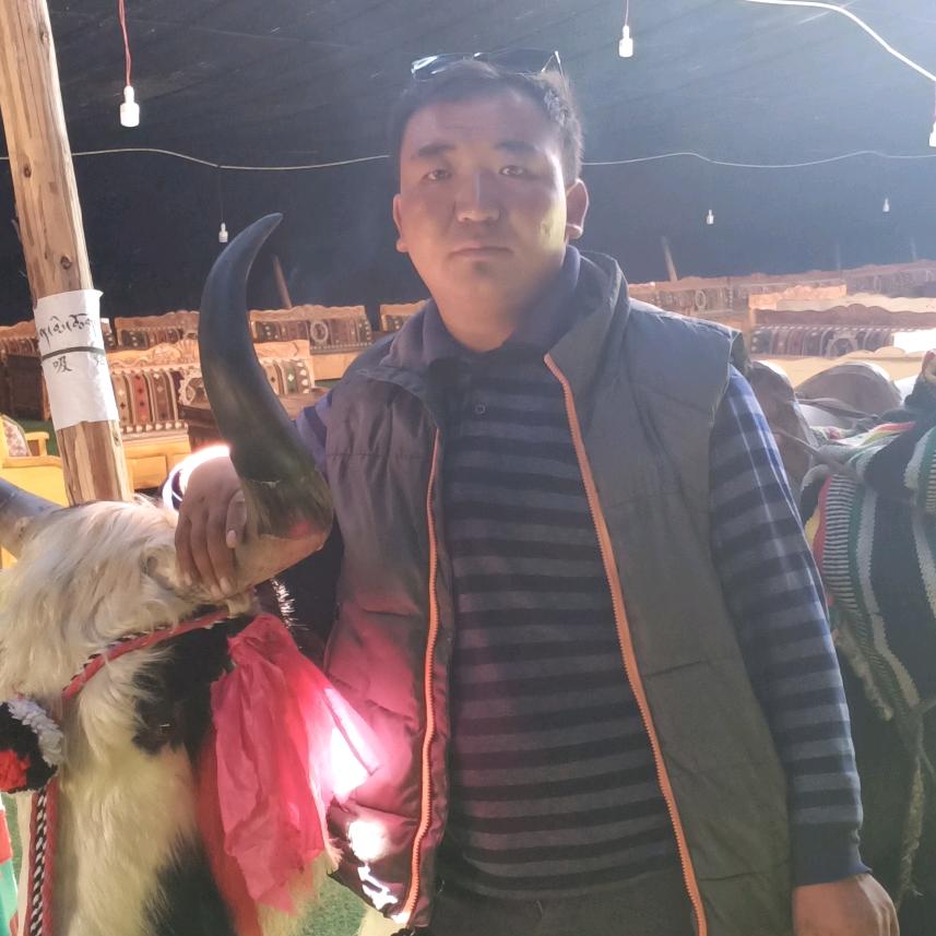 聂雄小子