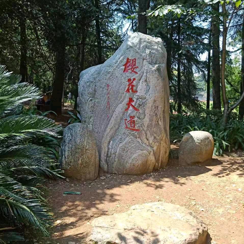 握瑜
