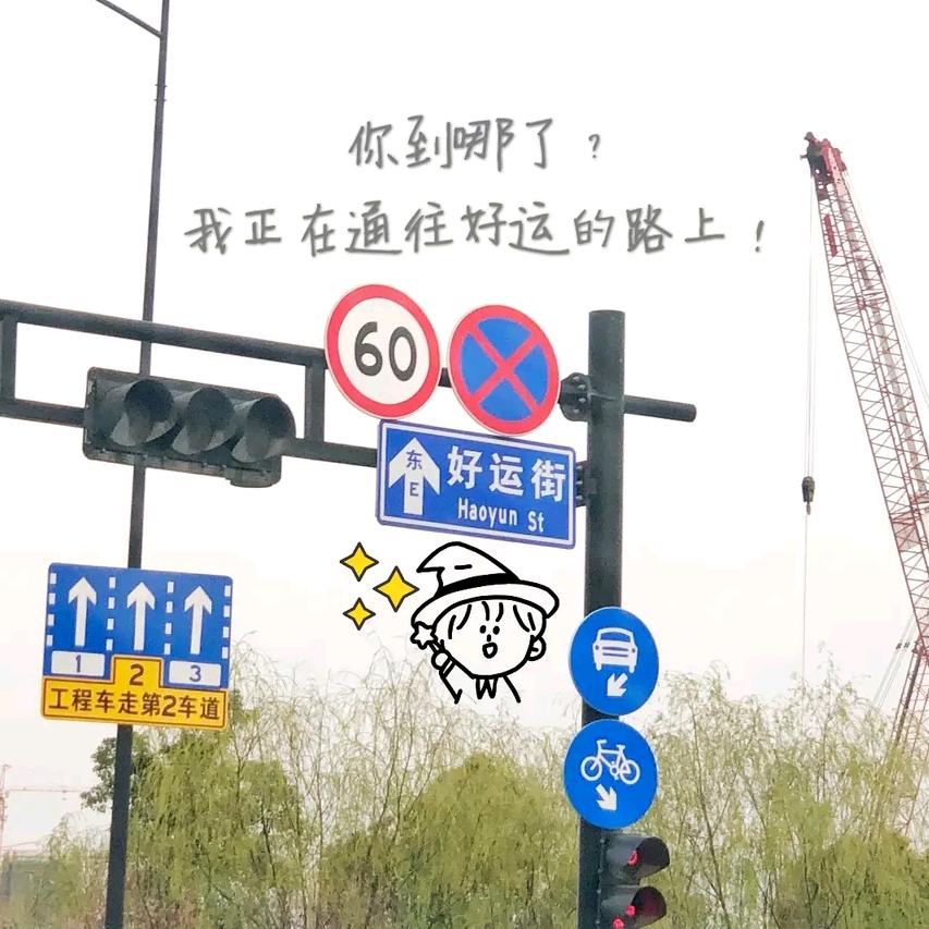 mmqqcc头像