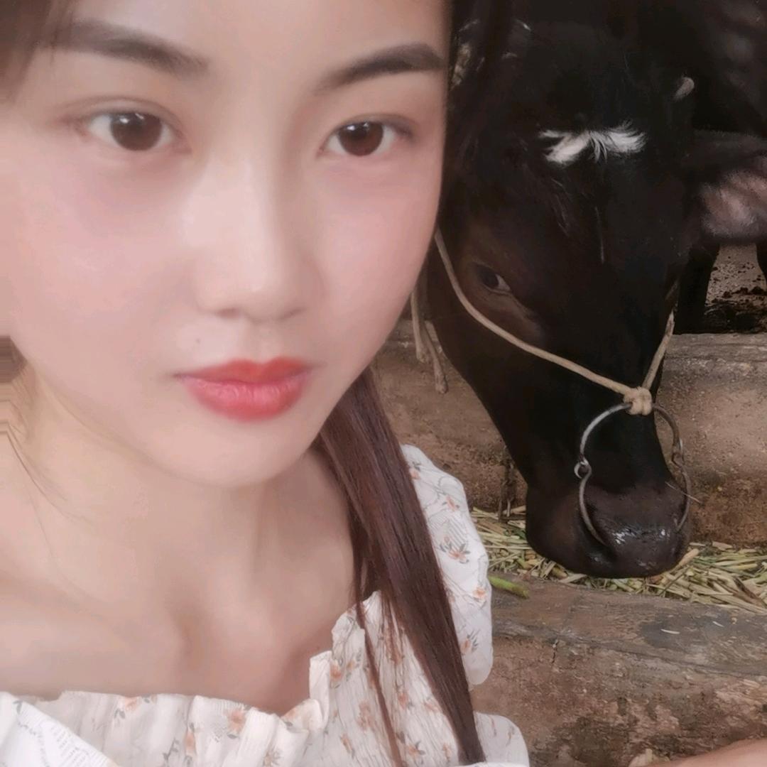 童家生态牛肉